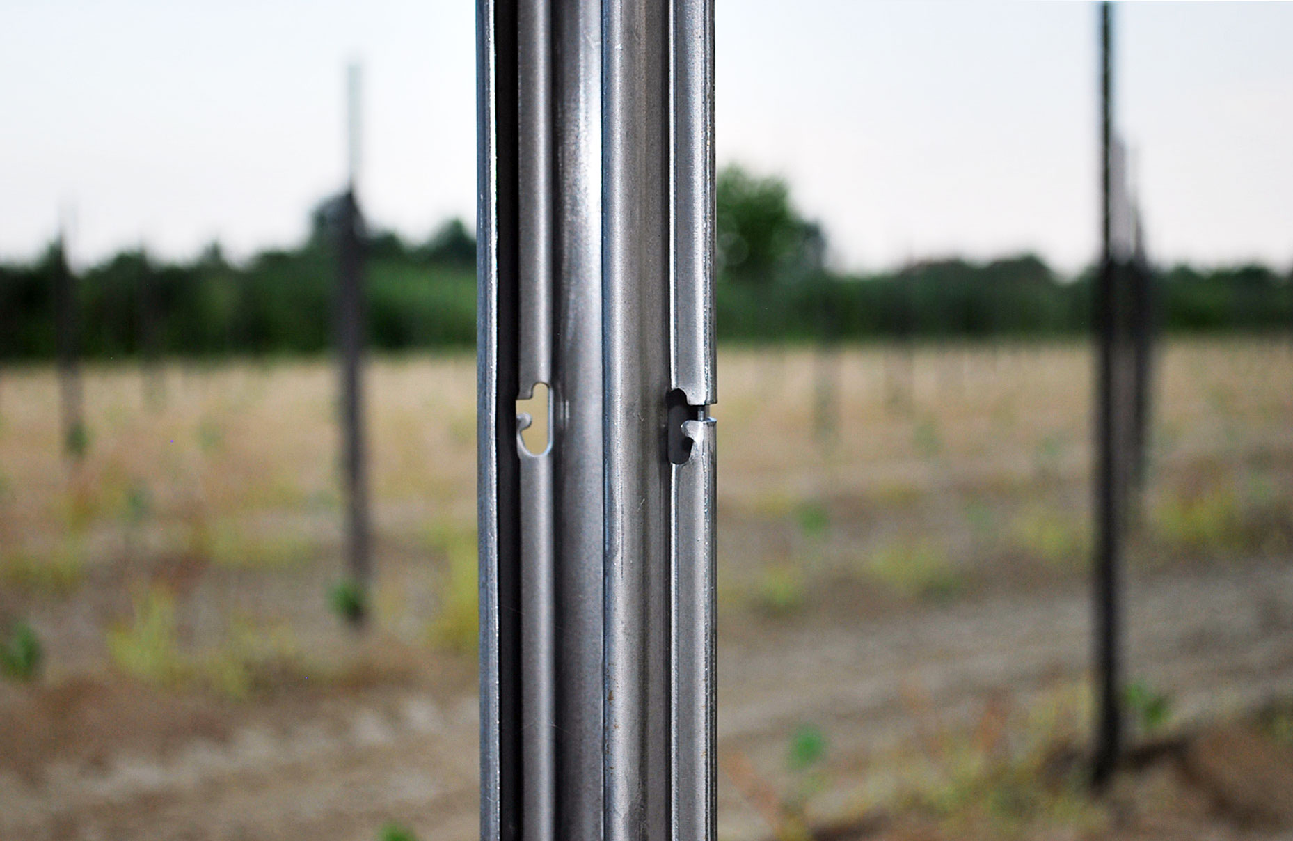 galvanized steel vineyard posts