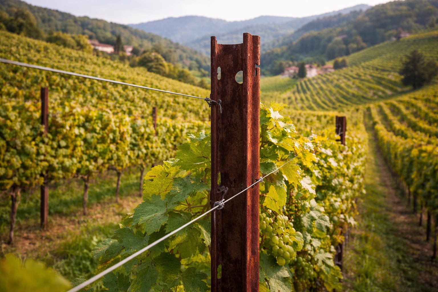 Pali per vigneto in acciaio Corten resistenti agli agenti atmosferici
