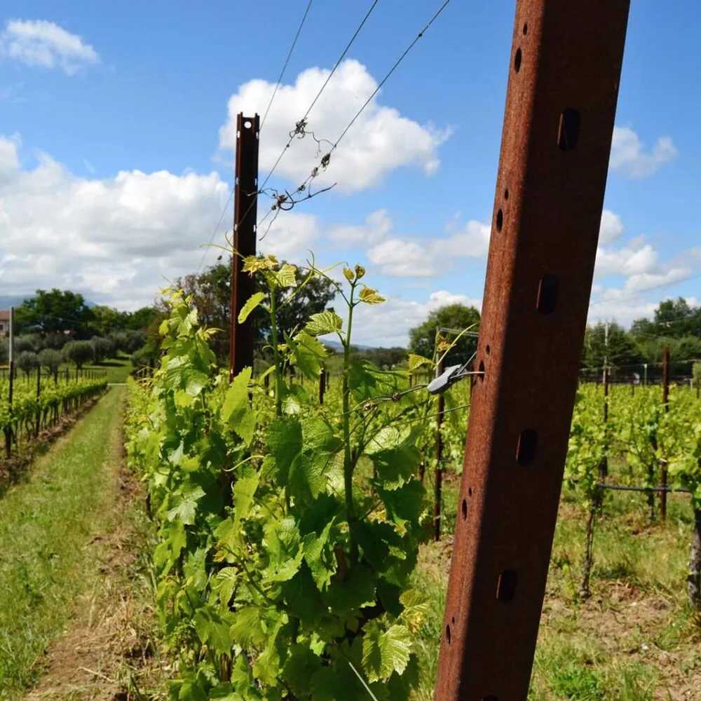 custom corten steel profiles for vineyard