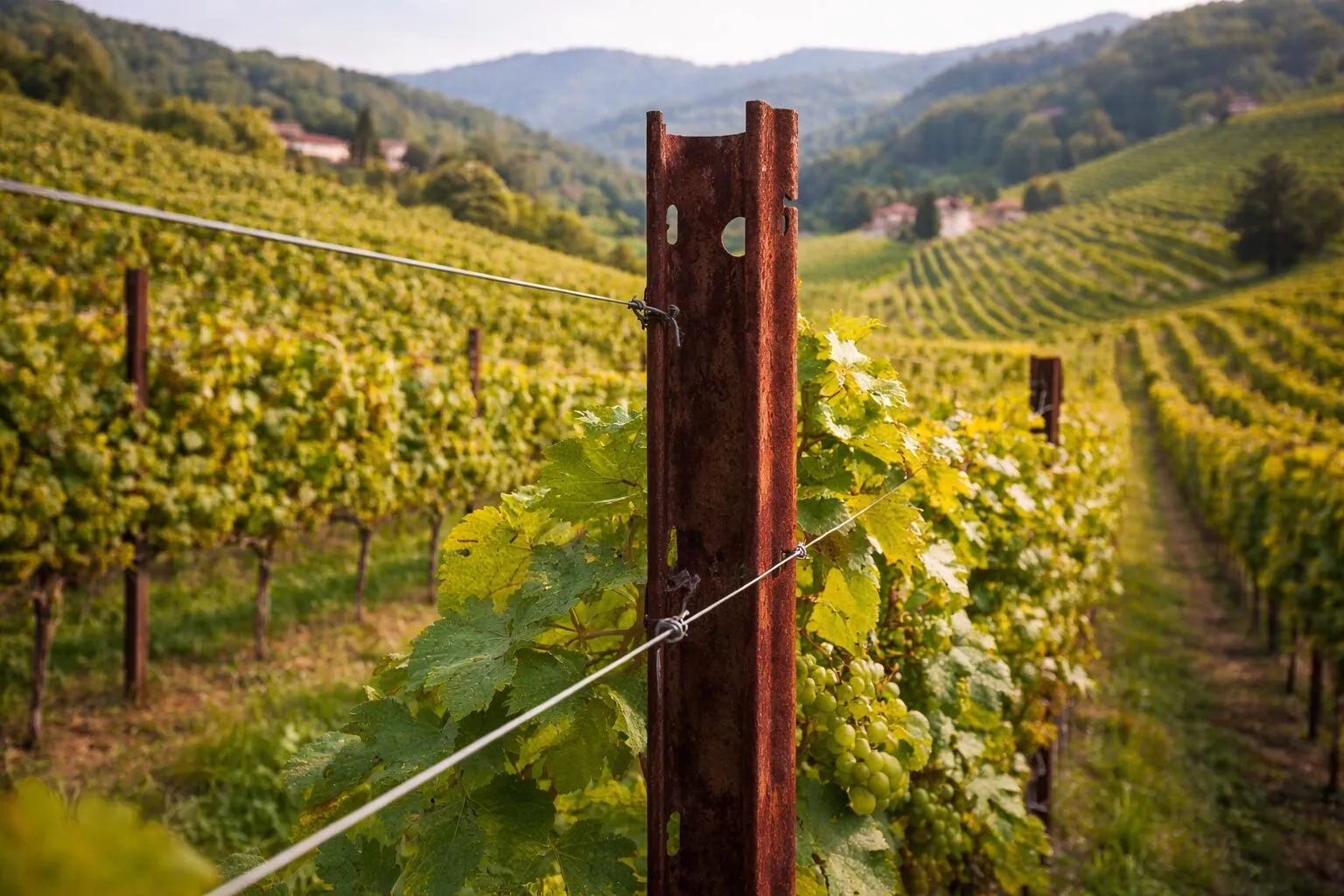 Pali per vigneto in acciaio Corten resistenti agli agenti atmosferici